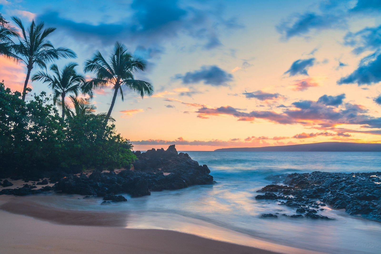 Palm trees and volcanic rock on a Hawaiian beach at sunset